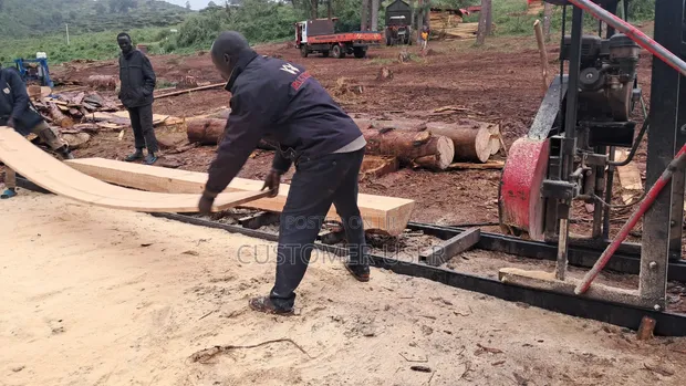 Pine Wood Timber - 1