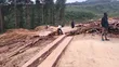 Pine Wood Timber - 5