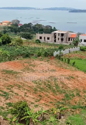 Prime Lake View Plots for Sale at Bwerenga~Bugiri Harmony Land Estate