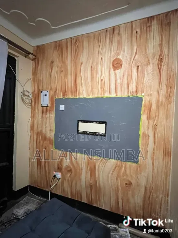 Professional House Painter - 5+ Years Experience - Kampala - 1