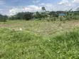 Titled Land for Sale in Matugga Mabanda - 2