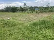 Titled Land for Sale in Matugga Mabanda - 3