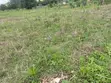 Titled Land for Sale in Matugga Mabanda - 4