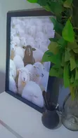 Custom Wall Gallery Art - 3
