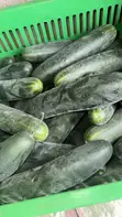 Sliced Cucumber - 3