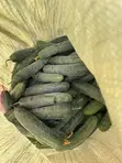 Sliced Cucumber - 4
