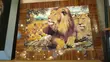 Wall Hanging Pictures - 1