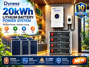 20kWh 48V Dyness Hybrid Lithium Solar System