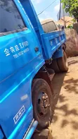 Isuzu Elf Tipper Truck - 5