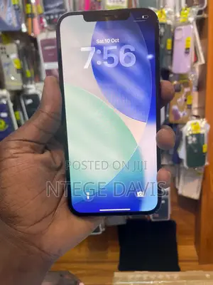 Apple iPhone 12 Pro Max 512GB Blue
