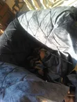 Brand New 3-Seater High Density Sofa - 2