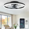 Ceiling Light with Fan and Remote - 1