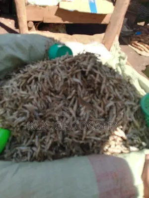 Fresh Silver Fish - Healthy & Protein-Rich