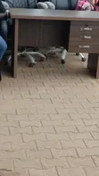 Office Table - Brand New - 2