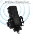 LGT 240 Condenser Microphone - 1