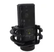 LGT 240 Condenser Microphone - 2