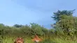 1 Acre Land for Sale in Nakawuka, Ngongolo - 2