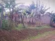Plot for Sale in Namugongo, Kiwango Jomayi Estate - 3