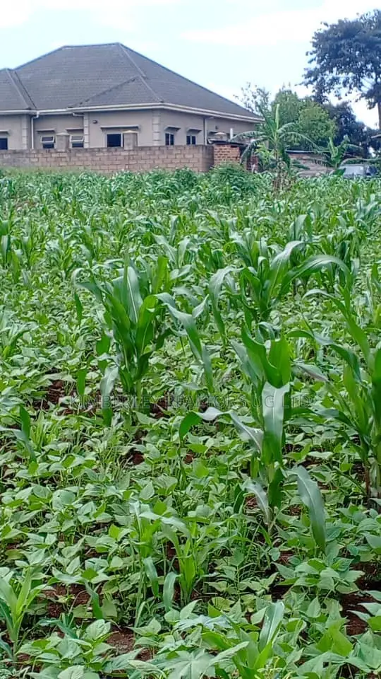 30 Decimals Land for Sale - Kabubu - 1