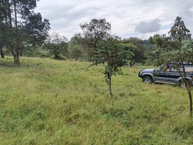 83.3 Acres of Freehold Land for Sale, Mukyenda, Mubende - 1