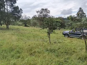 83.3 Acres of Freehold Land for Sale, Mukyenda, Mubende