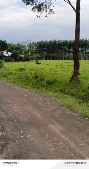4.4 Acres Freehold Land for Sale in Fort Portal City