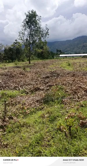 Kitarasa Estate Plots, Fort Portal City