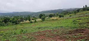 Hill View Plots for Sale - Boza, Mpigi