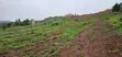 Hill View Plots for Sale - Boza, Mpigi - 2