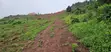 1 Acre Lakefront Land for Sale, Bwerenga Bugiri - 2