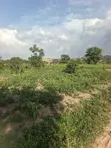 Plots of Land for Sale in Wakiso - 1
