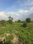 Plots of Land for Sale in Wakiso - 2