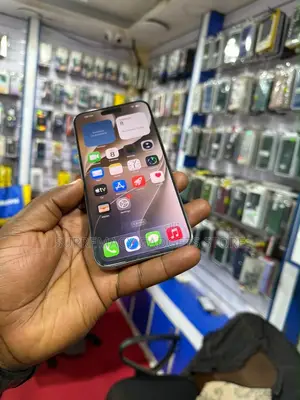 Apple iPhone 15 Pro Max 256GB Silver