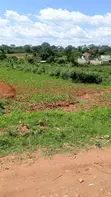 3 Plots of Land for Sale - Kabubu, Mukasa Road - 3