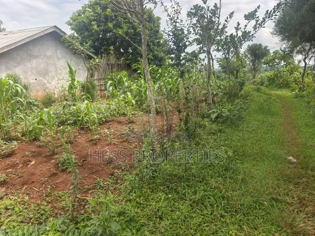 7 Acres Titled Agricultural Land for Sale - Kyarusozi - 1