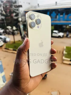 Apple iPhone 13 Pro Max 256GB Gold