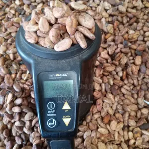 Cocoa Beans - High Grade Uganda