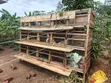 15 Rabbit Cages - 3