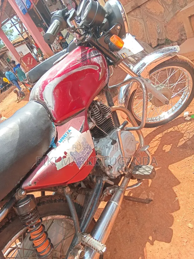 Bajaj Boxer 100 2024 Red - 1