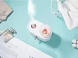 3-in-1 Night Light Humidifier with Lamp - 3