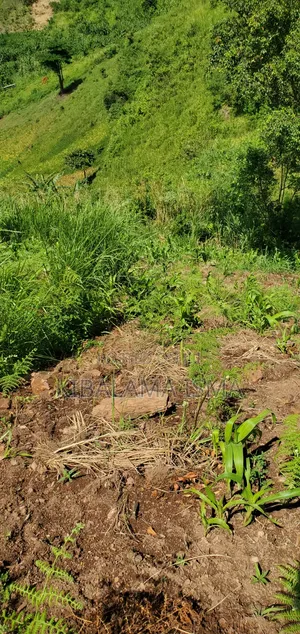 200 Acres for Sale in Kyabasenja, Hoima District