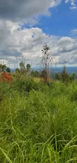 200 Acres for Sale in Kyabasenja, Hoima District - 2