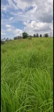 200 Acres for Sale in Kyabasenja, Hoima District - 3
