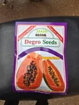 Degro Seeds Red Red Pawpaw Seeds 500g - American Gold Money Maker - 2