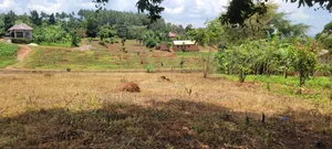 12M Ready Title Land for Sale, Namayumba