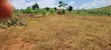 12M Ready Title Land for Sale, Namayumba - 4