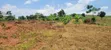 12M Ready Title Land for Sale, Namayumba - 5