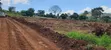 12 Acres Mailo Title Land, Namayumba Gayaza - 5