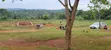 4M 50x50ft Residential Plot for Sale, Gobero Kasudde - 1