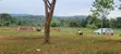 4M 50x50ft Residential Plot for Sale, Gobero Kasudde - 2
